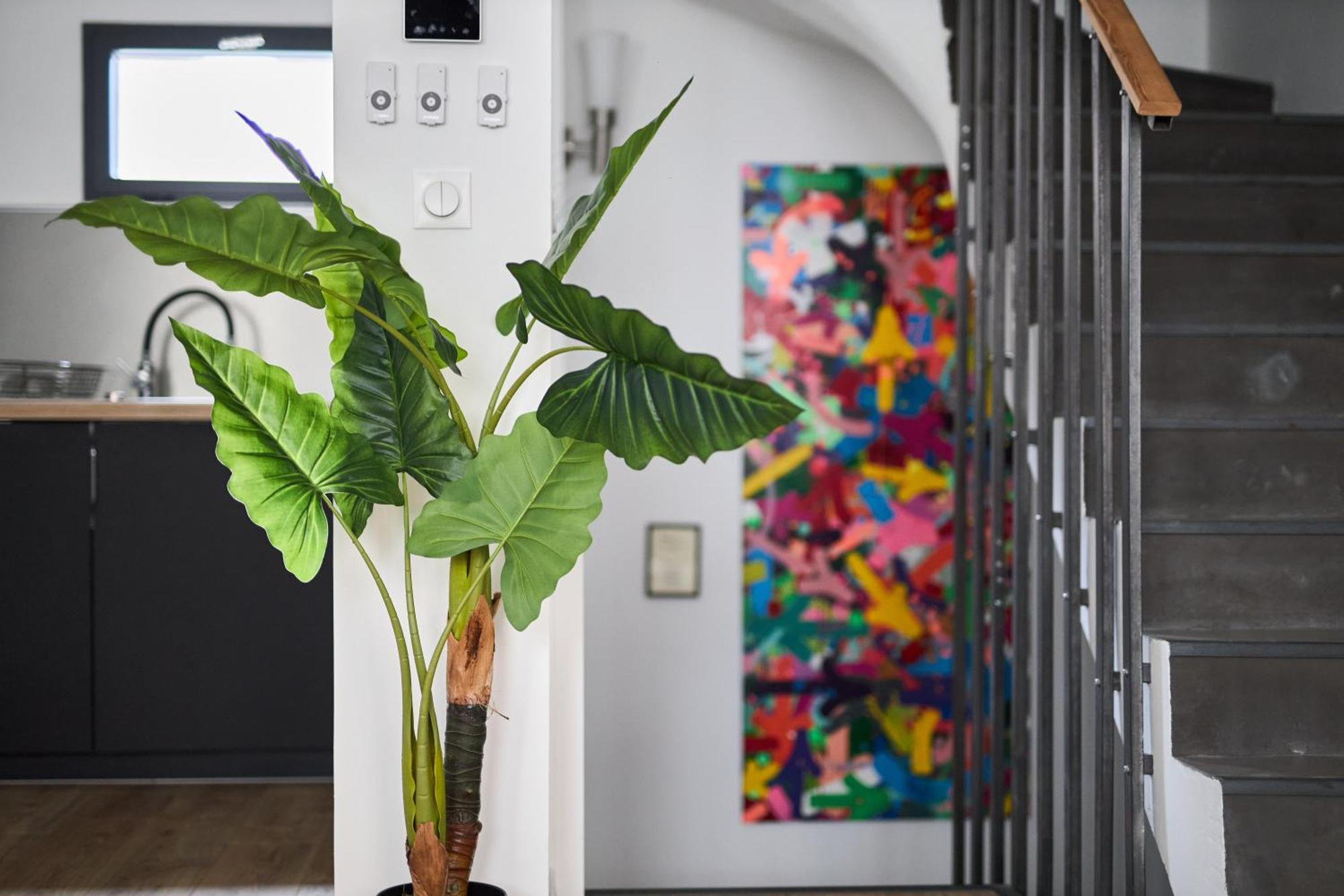 Mm Suites Town House Terrasse ランス エクステリア 写真